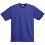 Wicking Performance Shirt - model 790