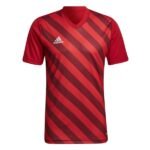 adidas Entrada 22 Graphic Soccer Jersey - model HF0126