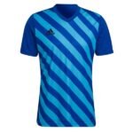 adidas Entrada 22 Graphic Soccer Jersey - model HF0126