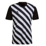 adidas Entrada 22 Graphic Soccer Jersey - model HF0126